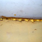 Observed cracks in walls and ceiling